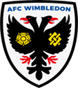 Past participant club logo at YSE Champions Cup